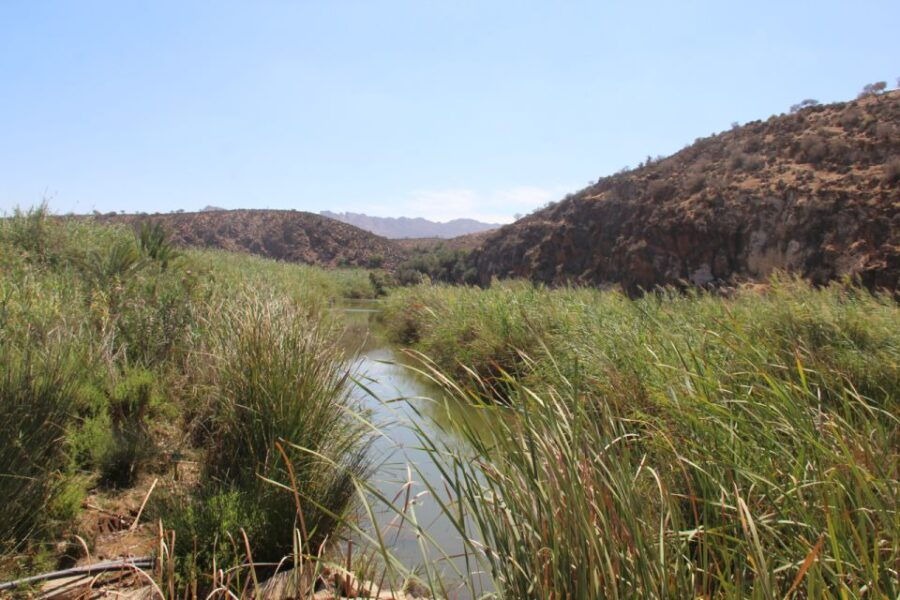 Agadir or Taghazout: Explore & Swim in Paradise Valley