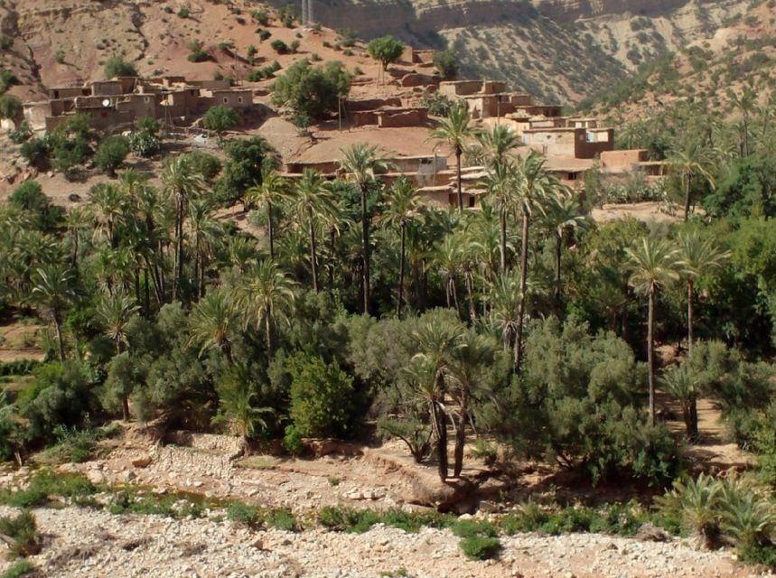 Agadir or Taghazout: Paradise Valley Atlas Mountain & Lunch