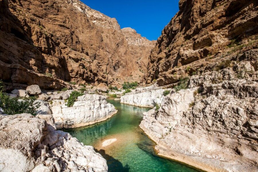 Agadir or Taghazout: Paradise Valley Atlas Mountain & Lunch