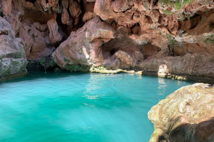 Agadir or Taghazout: Paradise Valley Tour With Guide & Lunch - Good To Know