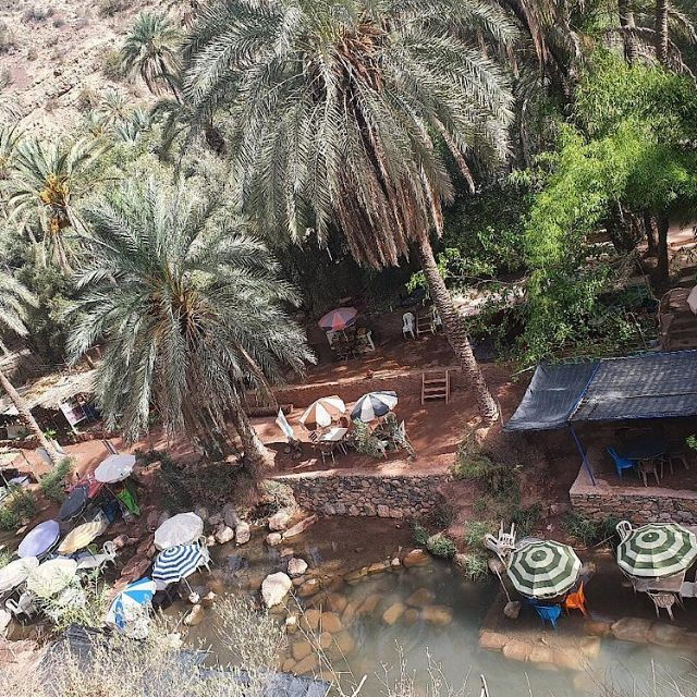 Agadir or Taghazout: Paradise Valley With Berber Breakfast