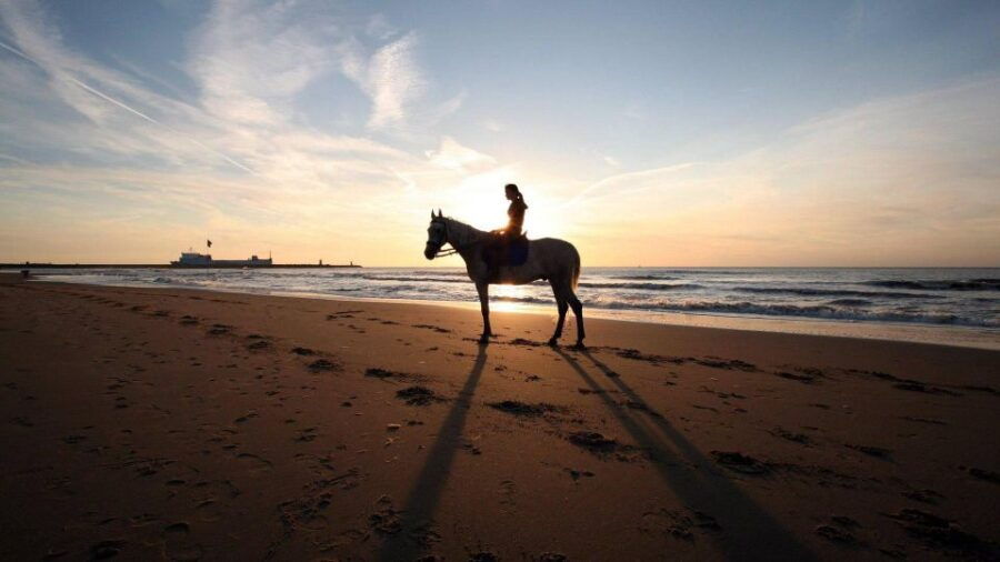 Agadir or Taghazout: Sunset Horse Riding - Good To Know