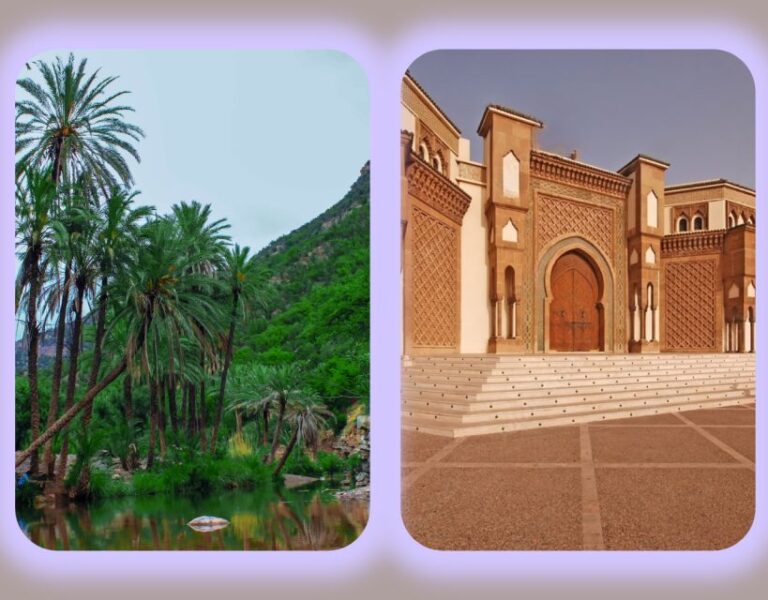 Agadir: Paradise Valley and City Highlights Tour