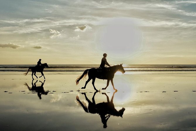 Agadir Small-Group Horseback Ride With Hammam - Good To Know