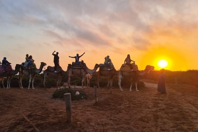Agadir Sunset Camel Ride With Moroccan Barbecue & Hotel Transfers - Good To Know