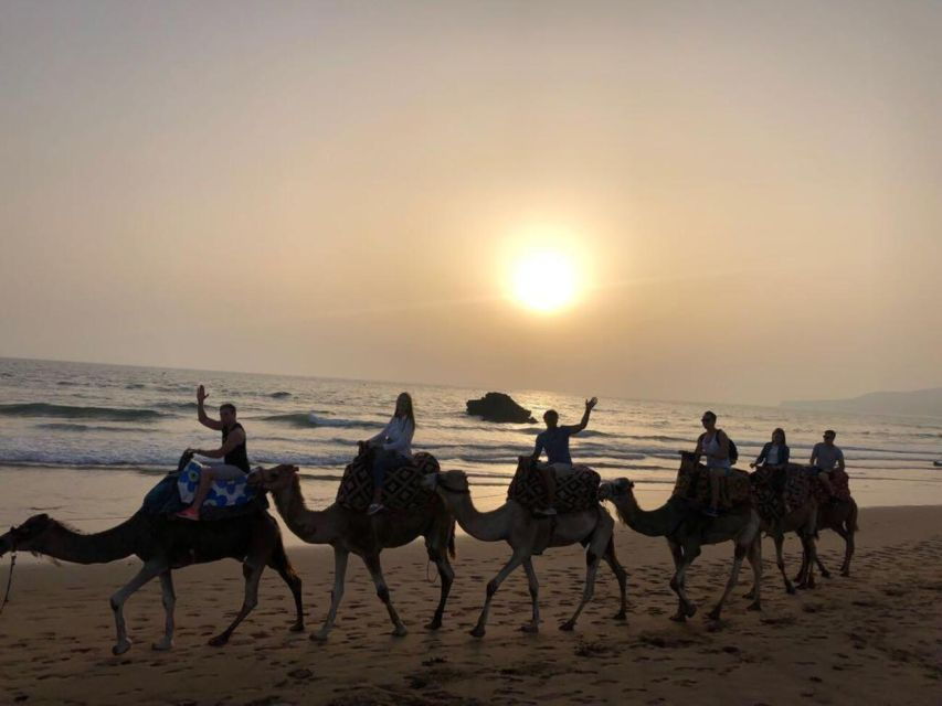 Agadir/Taghazout: Camel Ride on the Beach - Good To Know