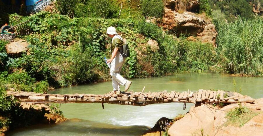 Agadir Taghazout or Port : Paradise Valley & Lunch
