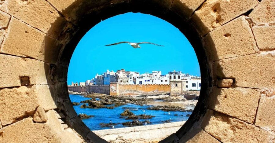 Agadir/Taghazout/Tamraght : Essaouira Guided Day Trip