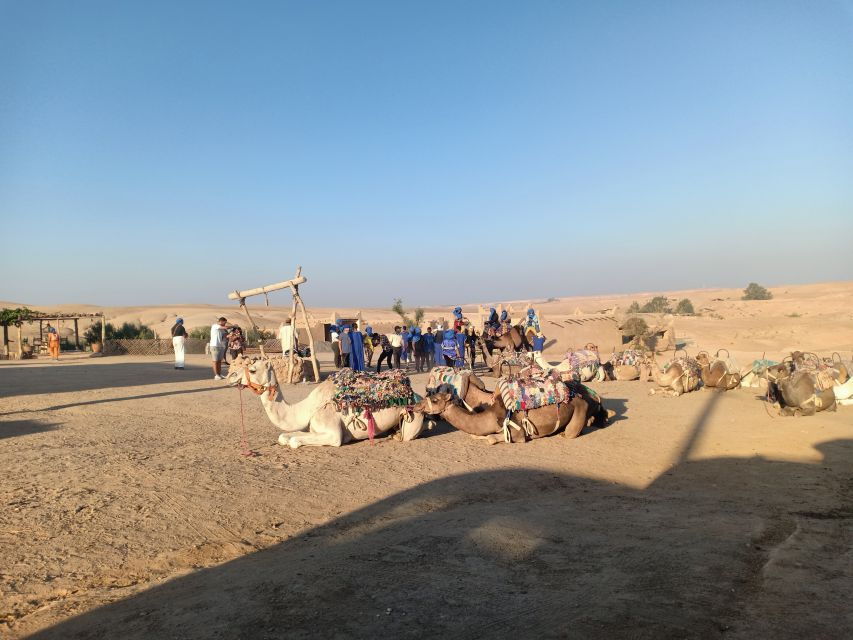 Agafay Desert Camel Ride With Lunch - Good To Know