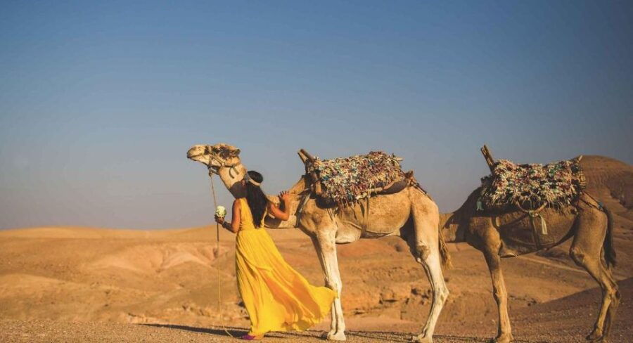 Agafay Desert Package : Buggy & Camel Ride & Dinner Show - Itinerary and Activities in Agafay Desert