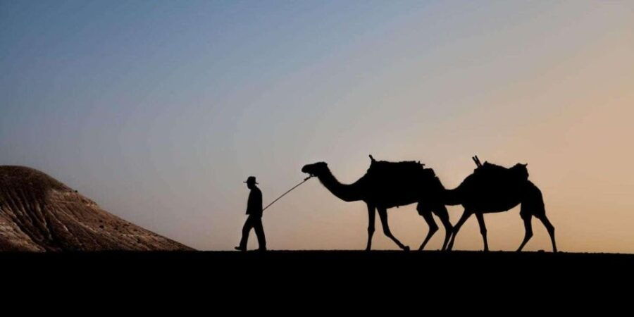 Agafay Desert, Quad Bike, Camel Ride, and Dinner Show - Good To Know