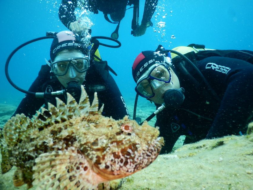 5 Best Scuba Diving Experiences In Agia Pelagia