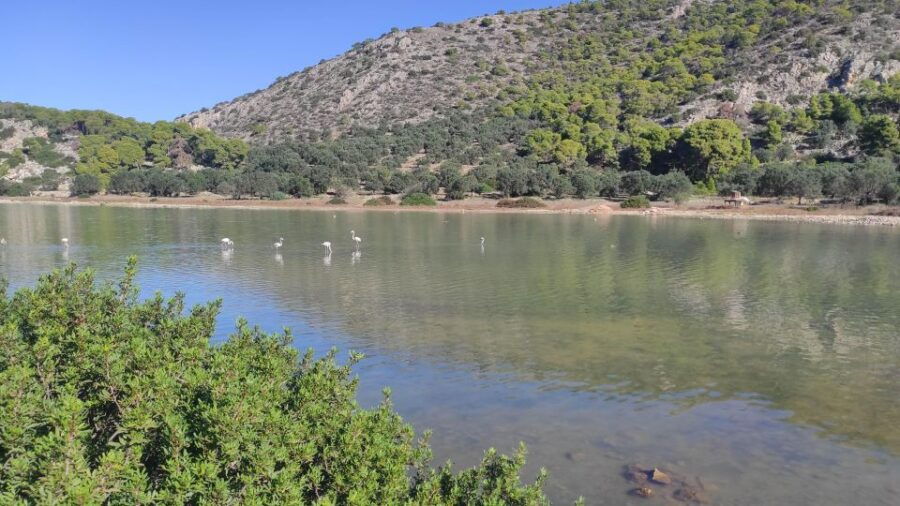 Agistri: the Ultimate Experience on Aponissos Island