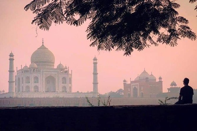 Agra Full Day Taj Mahal at Sunrise With Agra Fort & Itimad-ud-Daulah From Delhi - Good To Know