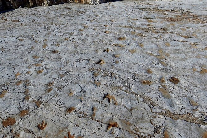 Aire E Candeeiros Nature Park Full Day Private Tour From Lisbon - Good To Know