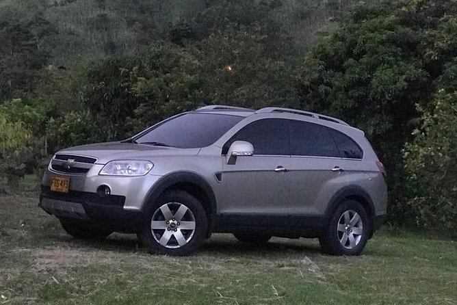 Airport Transport Service Offers Bilingual Convenience - Good To Know