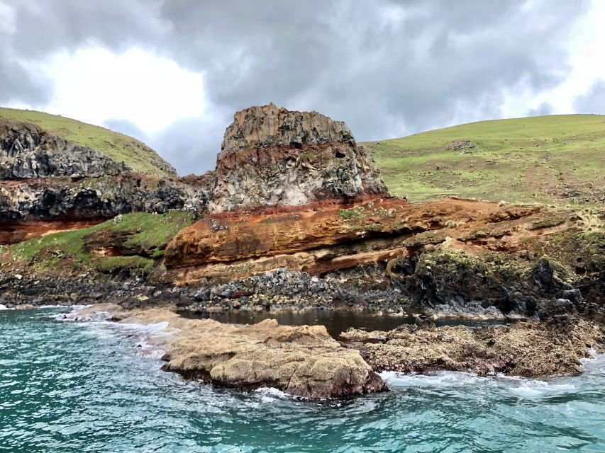 Akaroa/Banks Peninsula Day Tour With Scenic Harbor Cruise - Good To Know