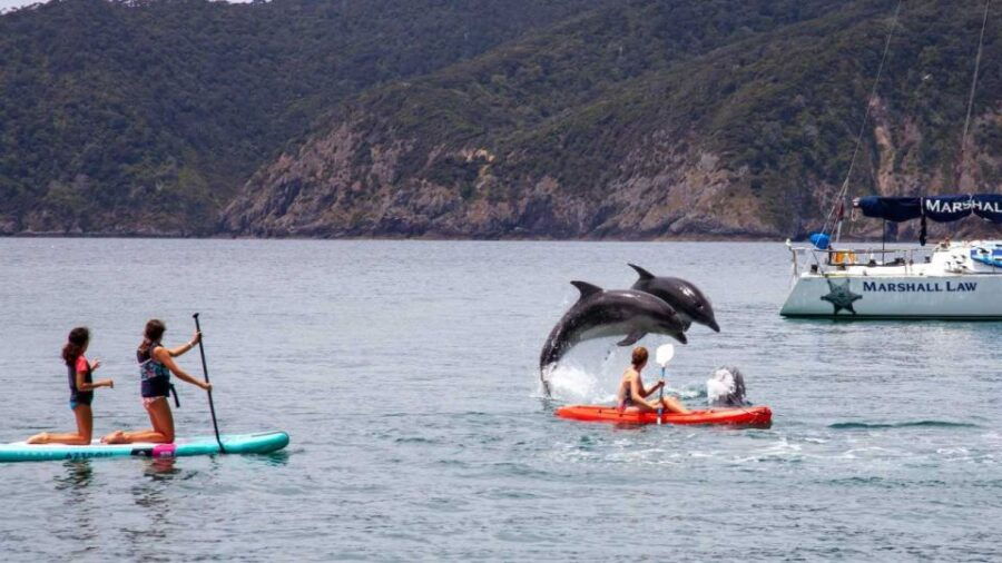 Akaroa Day Tour From Christchurch - Good To Know