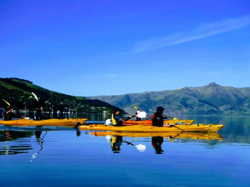 Akaroa: Electric Mountain Bike and Sea Kayak Adventure