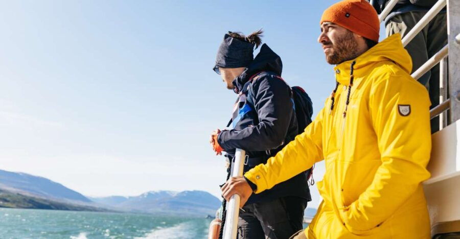 Akureyri: 3-Hour Classic Whale Watching Tour - Good To Know