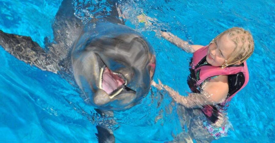 Alanya Dolphin and Seal Show: Magical Adventure - Activity Details