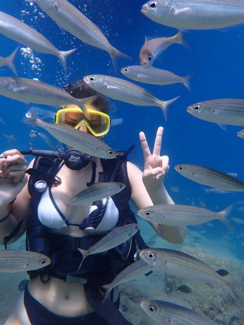Alanya: Scuba Diving Experience /Lunch/Hotel Transfer - Good To Know