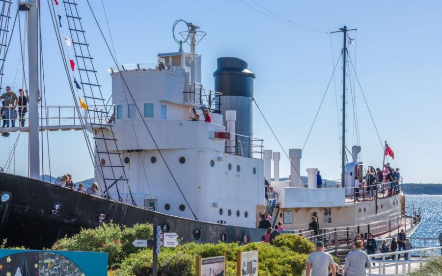 Albany: Albany’s Historic Whaling Station Entry Ticket