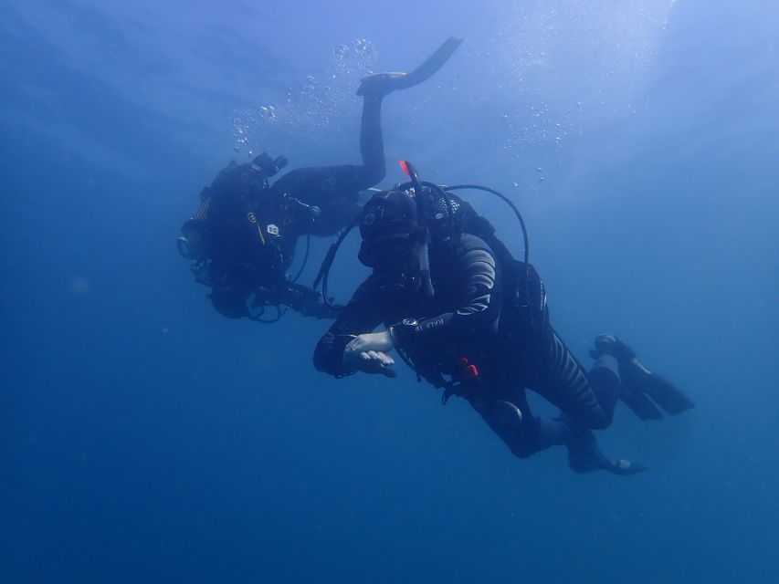 Albufeira: 2 DIVES TRIP (ONLY CERTIFIED DIVERS)