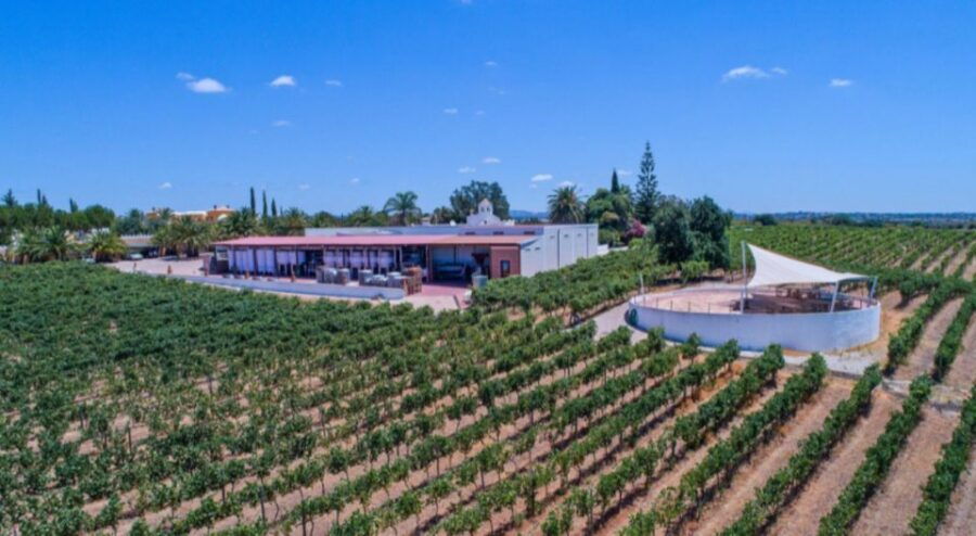 Albufeira Coast Tour W/ Wine Tasting & Chicken Lunch - Good To Know