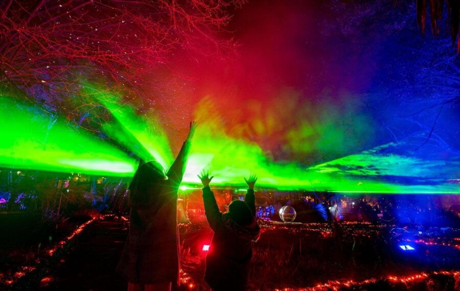 Alcázar of Seville: Naturaleza Encendida Light Show Ticket - Good To Know