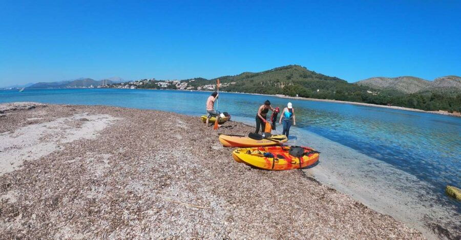 Alcudia: Kayak or Stand-Up Paddleboard Rental - Good To Know