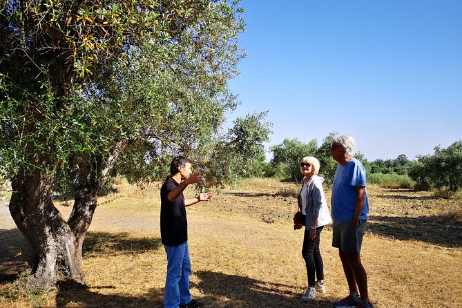 Alentejo Olive Oil Tour - Good To Know