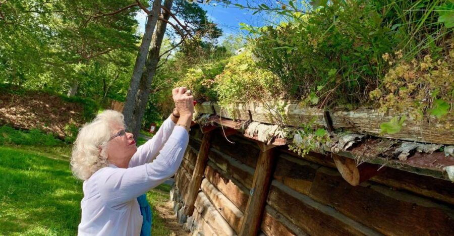 Alesund Heritage Sightseeing Tour