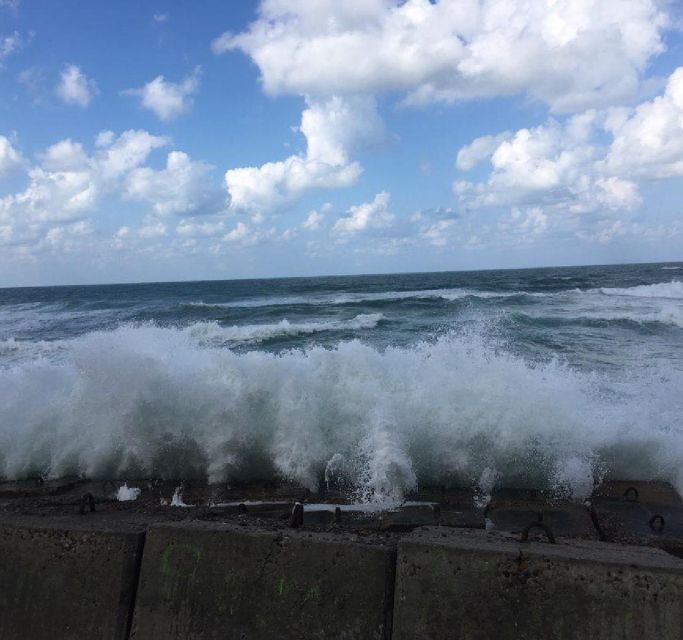 Alexandria: Alamein & Alexandria Private Day Tour With Lunch