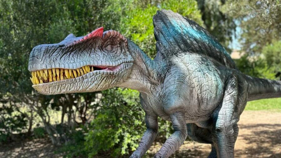Alghero: Discover Dinosaurs in Porto Conte Park - Good To Know