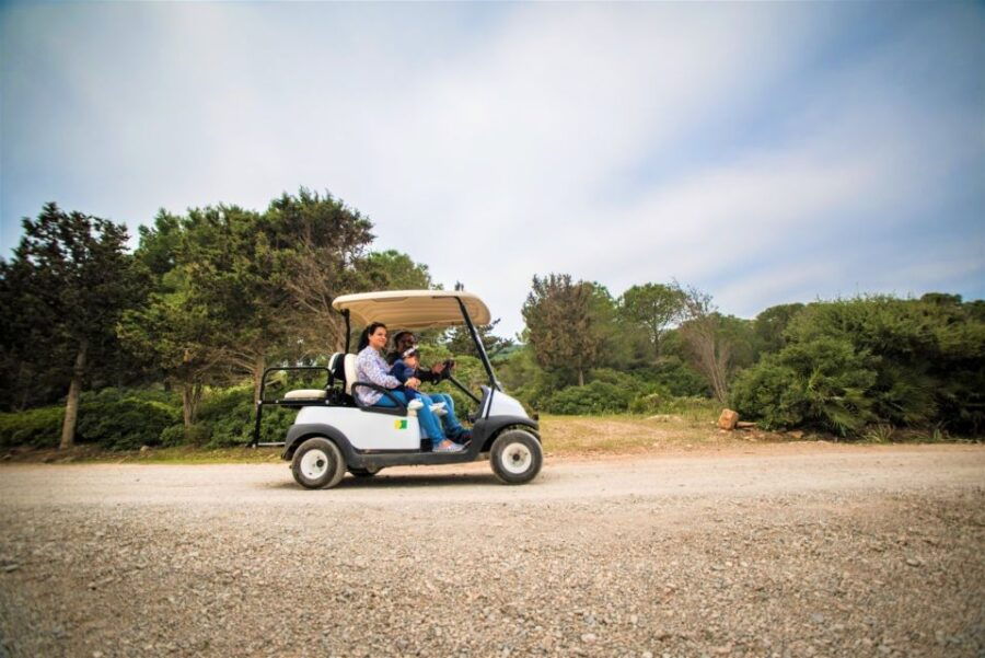 Alghero: Golf Car Hire in Porto Conte Natural Park