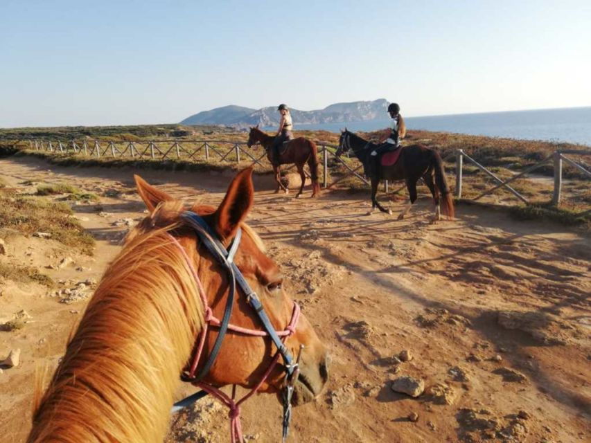 Alghero: Guided Horseback Ride at Lake Baratz & Porto Ferro - Good To Know