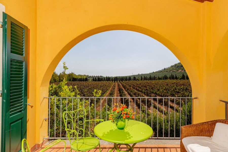 Alghero: Wine and Olive Oil Tasting at a Local Farm - Good To Know