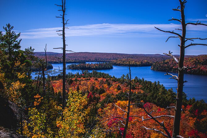 Algonquin Provincial Park Full Day Trip