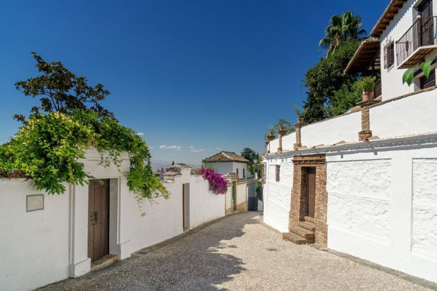 Alhambra, Nasrid Palaces and Albaicin Tour
