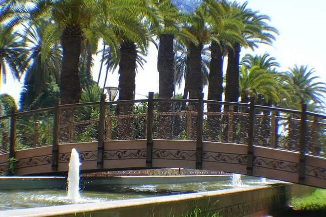 Ali Baba Oasis And The Old Medina Of Taroudant Private Day Tour - Tour Overview and Details