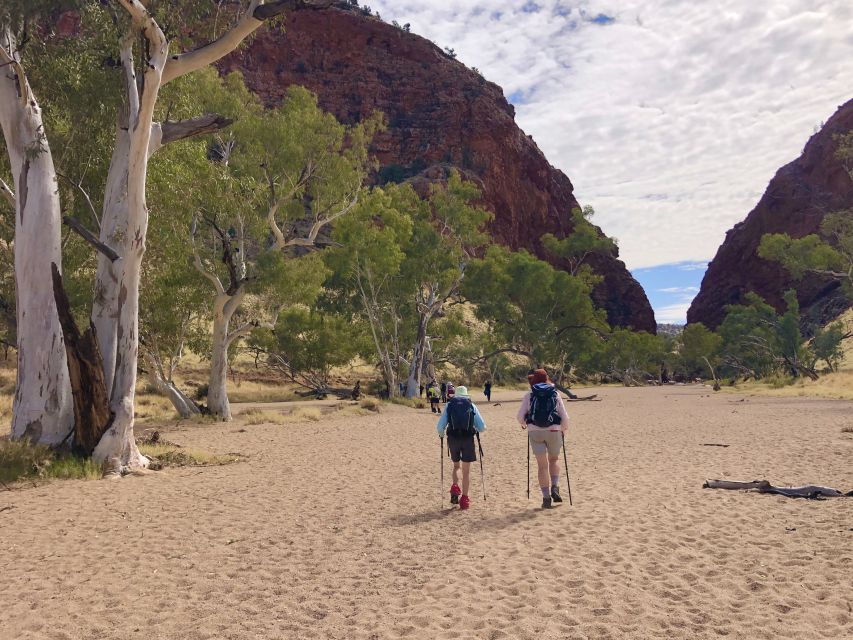 Alice Springs: Simpsons Gap Sunset Watercolor Painting Class