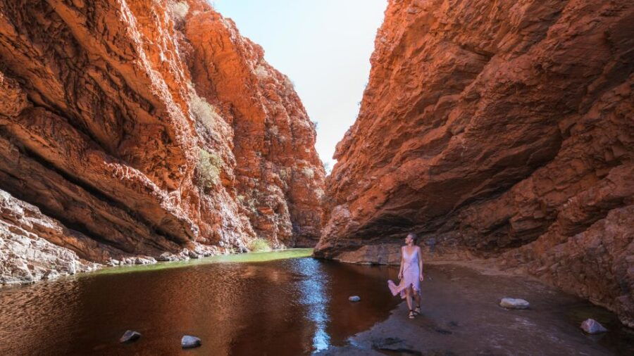 Alice Springs: Town Highlights and West MacDonnell Ranges