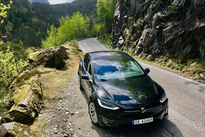 ALL ELECTRIC: Emission Free Tour to the World Heritage Fjords, 10.5 Hours - Good To Know