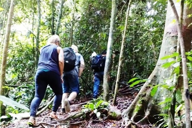 All-in 2N/3D Bukit Lawang Tour For School