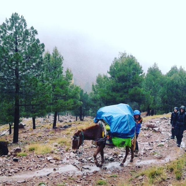 All-Inclusive 2 Days Hiking in the Atlas Mountains - Good To Know