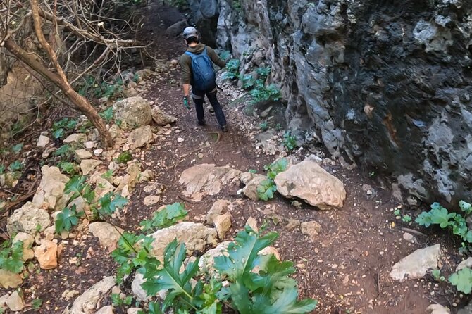 All Inclusive Adventure Trail Climbing Experience - Good To Know