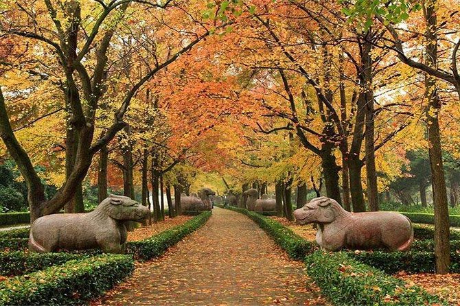 All Inclusive Amazing Nanjing City Highlights Private Day Tour - Good To Know