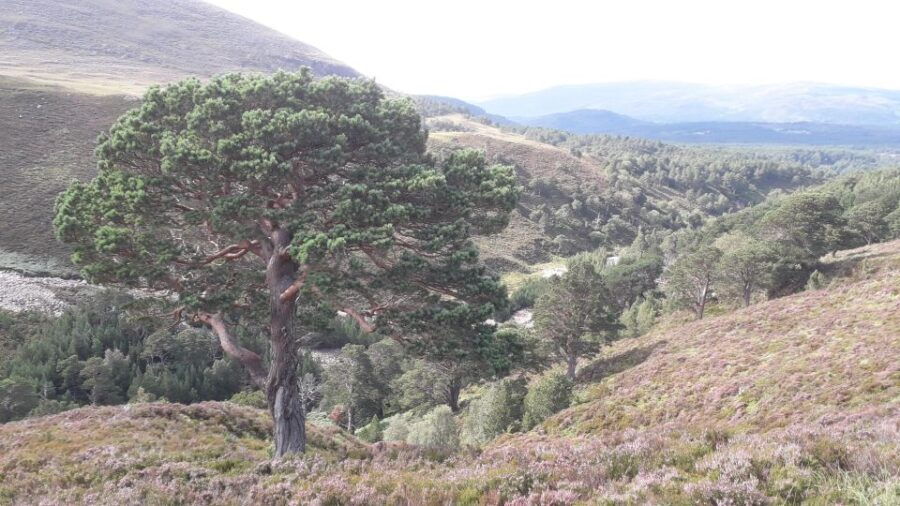 All Inclusive Guided Bikepacking Trip. - Good To Know