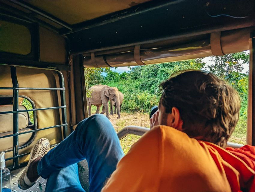 All Inclusive Minneriya or Eco National Park Half Day Safari